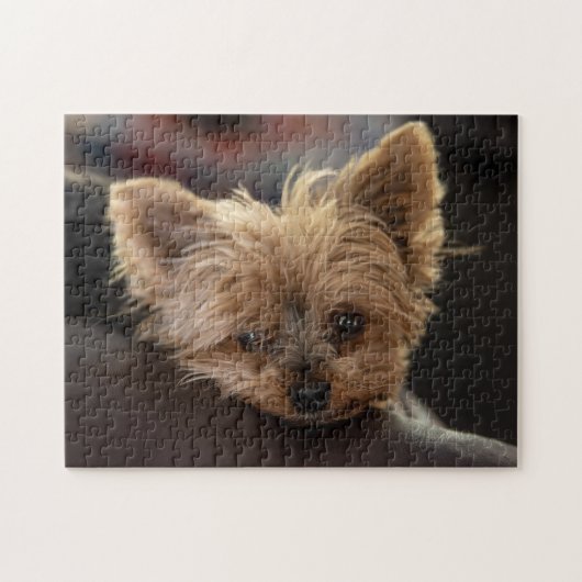 Yorkie Puppy Puzzle (Horizontal)