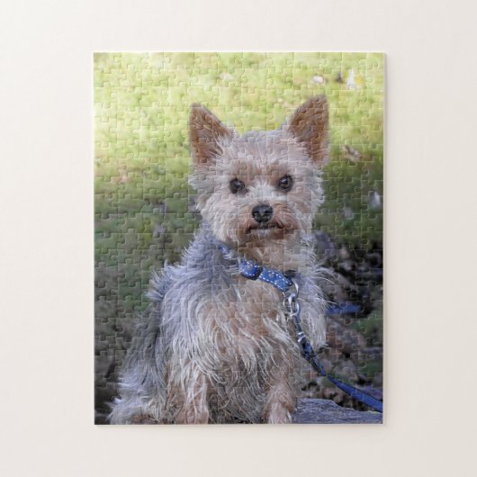 Yorkie Puzzlespiel Puzzle (Vertikal)