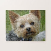 Yorkie Puzzlespiel Puzzle (Horizontal)