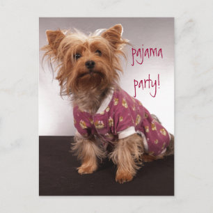 Yorkie-Pyjama-Party Einladungspostkarte