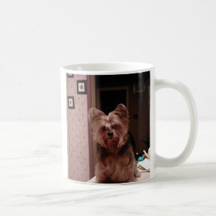 Yorkie Schale Kaffeetasse