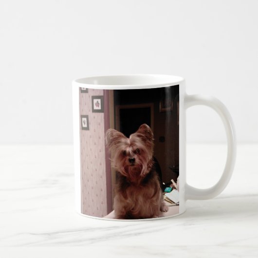 Yorkie Schale Kaffeetasse (Rechts)