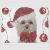 Yorkie Seidenpapier (Vorderseite)