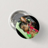Yorkie Snuggle Button (Vorne & Hinten)