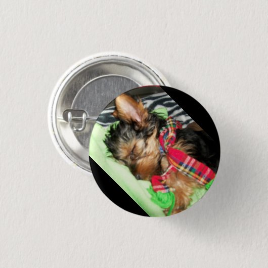 Yorkie Snuggle Button (Vorne & Hinten)