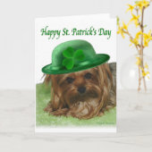 Yorkie St. Patrick's Day Karte (Gelbe Blume)