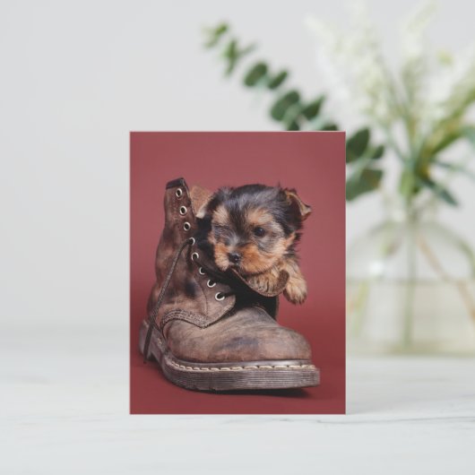 Yorkie Stiefel Postkarte (Stehend Vorderseite)