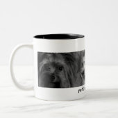 Yorkie Tasse (Links)