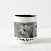Yorkie Tasse (Mittel)