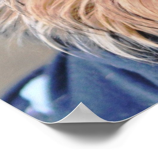 Yorkie Terrier Poster (Ecke)