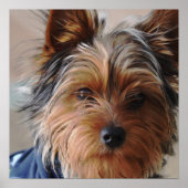 Yorkie Terrier Poster (Vorne)