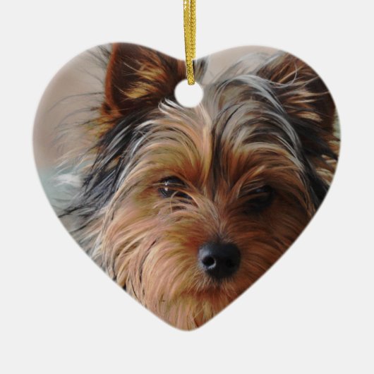 Yorkie Terrier Verzierung Keramikornament (Vorne)