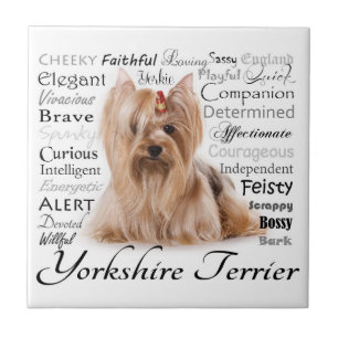 Yorkie Traits Tile Fliese