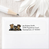 Yorkie Trio (Insitu)