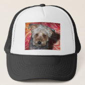 Yorkie Truckerkappe (Vorderseite)