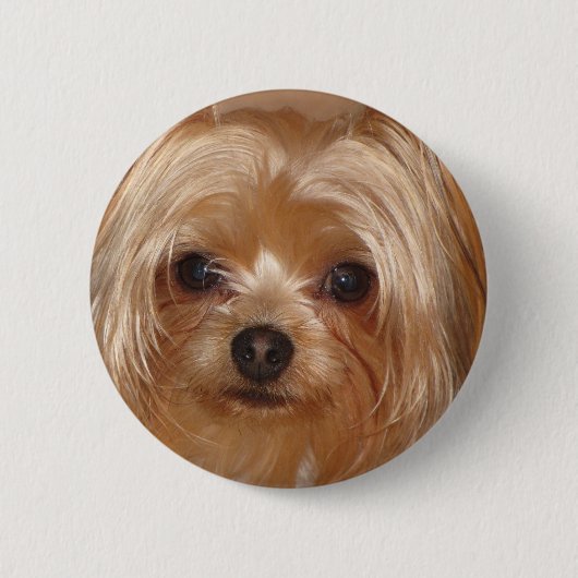 Yorkie Unterseite Button (Vorderseite)
