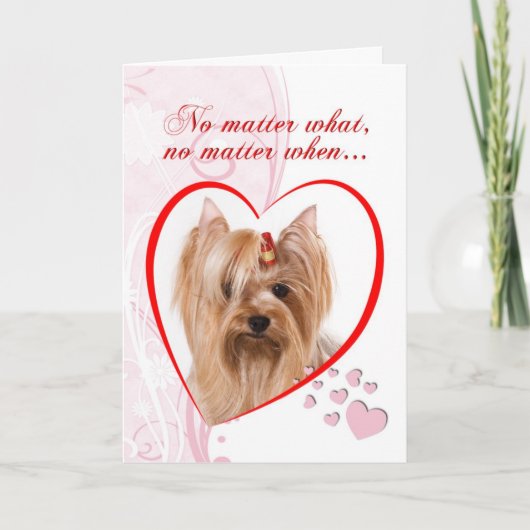 Yorkie Valentine Feiertagskarte (Vorderseite)