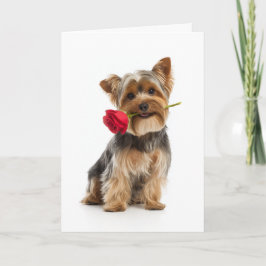 Yorkie Valentine Karte