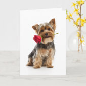 Yorkie Valentine – Tiny Dog, Big Love Karte (Gelbe Blume)