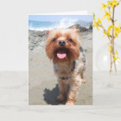 Yorkie vermisst dich karte (Gelbe Blume)