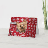 Yorkie Weihnachten (Vorderseite)