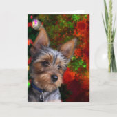 Yorkie Weihnachten (Vorderseite)