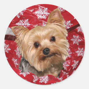 Yorkie Weihnachten Runder Aufkleber