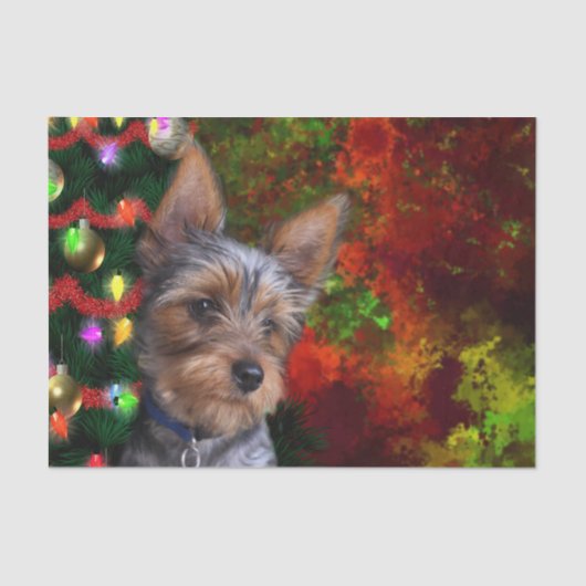 Yorkie Weihnachten Seidenpapier (Vorderseite)