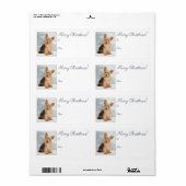 Yorkie Weihnachtsgeschenke Stickers (Vorne)