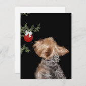 Yorkie-Weihnachtsverlockung Feiertagskarte (Vorne/Hinten)