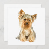 Yorkie Welpen-Einladungen Einladung (Vorne/Hinten)
