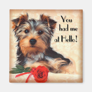 Yorkie Welpen-Magnet Magnet