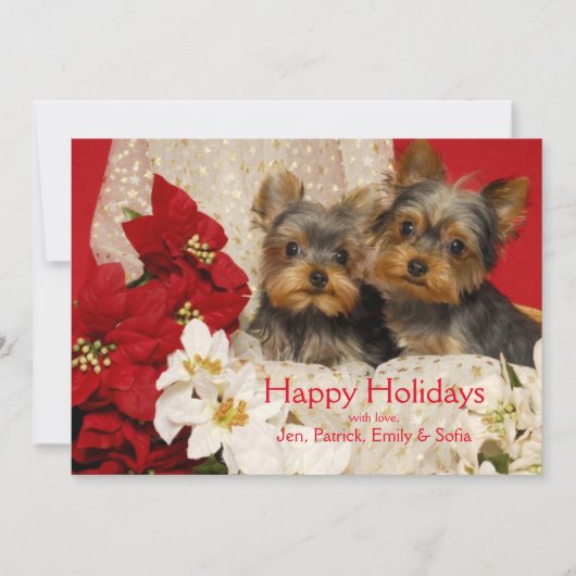 Yorkie Welpen mit Poinsettias Feiertagskarte (Vorderseite)