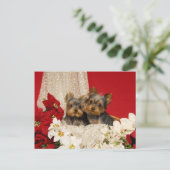 Yorkie Welpen mit Poinsettias Postkarte (Stehend Vorderseite)