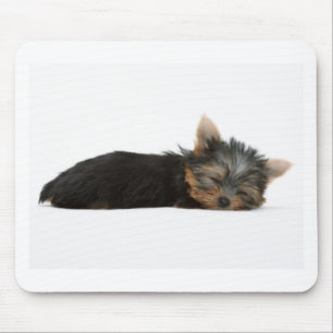 Yorkie Welpen-Schlafen Mousepad