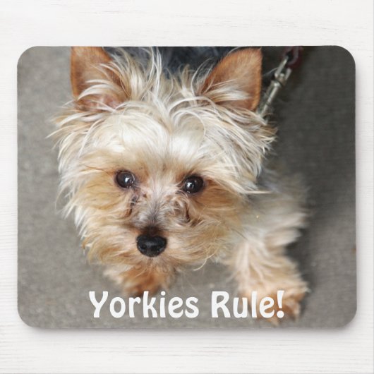 Yorkie, Yorkies Regel! Mousepad (Vorne)