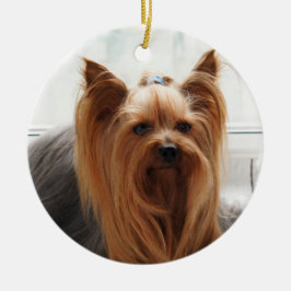 Yorkie Yorkshire Terrier Dog Keramik Ornament