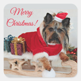 Yorkie Yorkshire Terrier Dog - Weihnachts-Weihnach Quadratischer Aufkleber