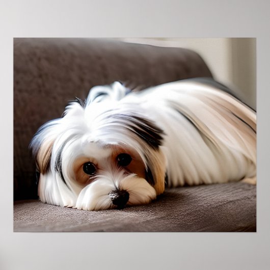 Yorkie, Yorkshire Terrier, Ennui, Poster (Vorne)