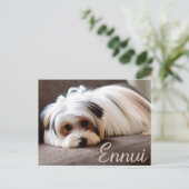 Yorkie, Yorkshire Terrier, Ennui, Postkarte (Stehend Vorderseite)