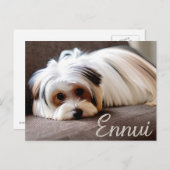 Yorkie, Yorkshire Terrier, Ennui, Postkarte (Vorne/Hinten)
