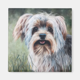 Yorkie Yorkshire Terrier in summer grass Magnet