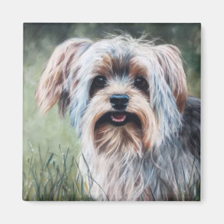 Yorkie Yorkshire Terrier in summer grass Magnet