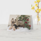 Yorkie (Yorkshire Terrier) Karte (Gelbe Blume)