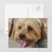 Yorkie Zac Postkarte (Vorne/Hinten)