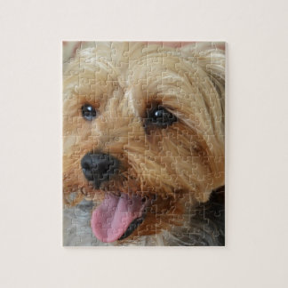 Yorkie Zac Puzzle