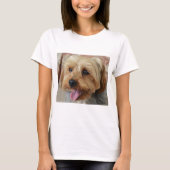 Yorkie Zac T-Shirt (Vorderseite)
