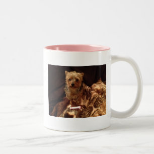 Yorkie Zweifarbige Tasse