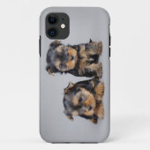 Yorkies Case-Mate iPhone Hülle (Rückseite)