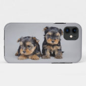 Yorkies Case-Mate iPhone Hülle (Rückseite (Horizontal))